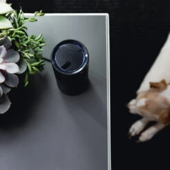 CleanLight Air UV Air Purifier By KeySmart -Professional Kitchen Tool Store KS917 CleanLight Air Purifier in Your Home