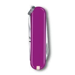 Victorinox Classic SD Swiss Army Knife, 2021 Solid Colors -Professional Kitchen Tool Store SA0622352 Victorinox Classic SD Tasty Grape Back