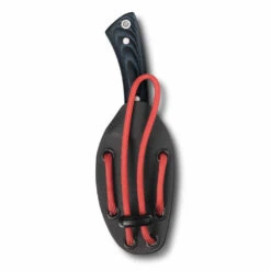 Victorinox Outdoor Master Mic Small Fixed-blade Knife -Professional Kitchen Tool Store SA42262 Sheath Back Vertical x1000 adebd6f6 0004 4e94 b766 885db3484dae